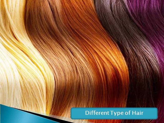 Different Type of Hair